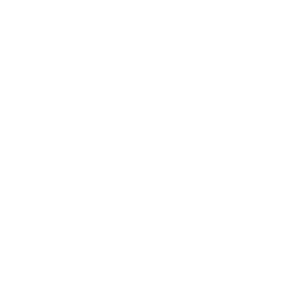 Akram Nor